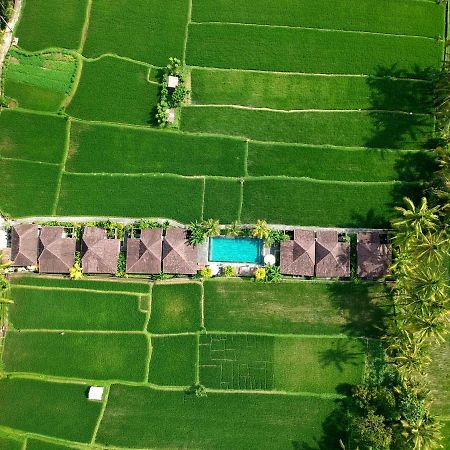 Pajar House Ubud Suite & Villas Exterior foto
