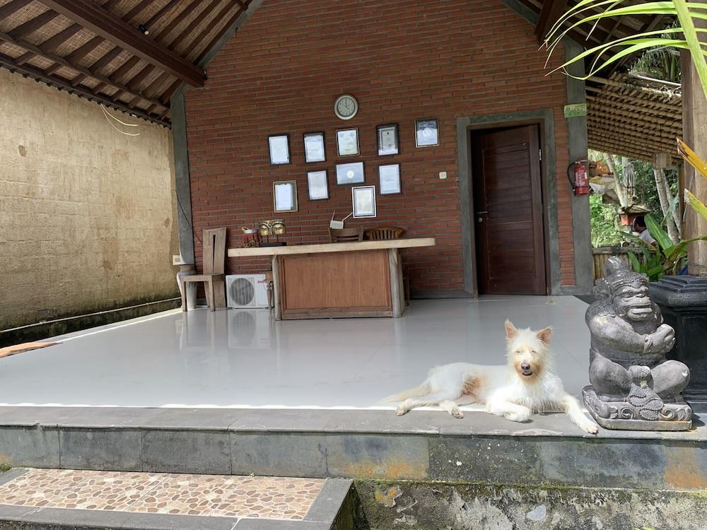 Pajar House Ubud Suite & Villas Exterior foto