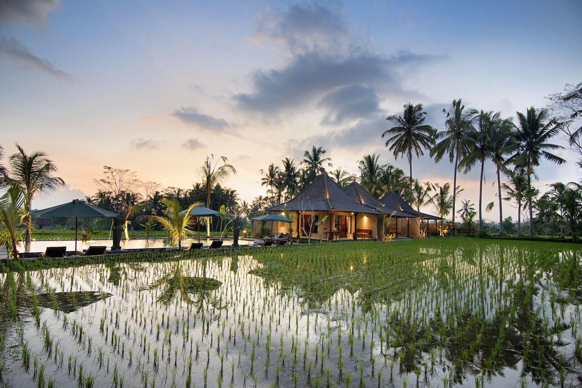 Pajar House Ubud Suite & Villas Exterior foto