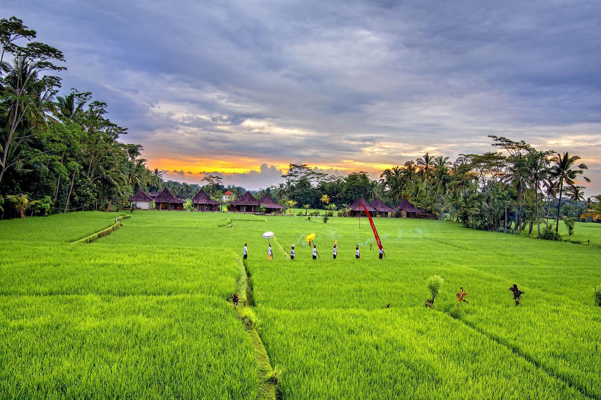 Pajar House Ubud Suite & Villas Exterior foto