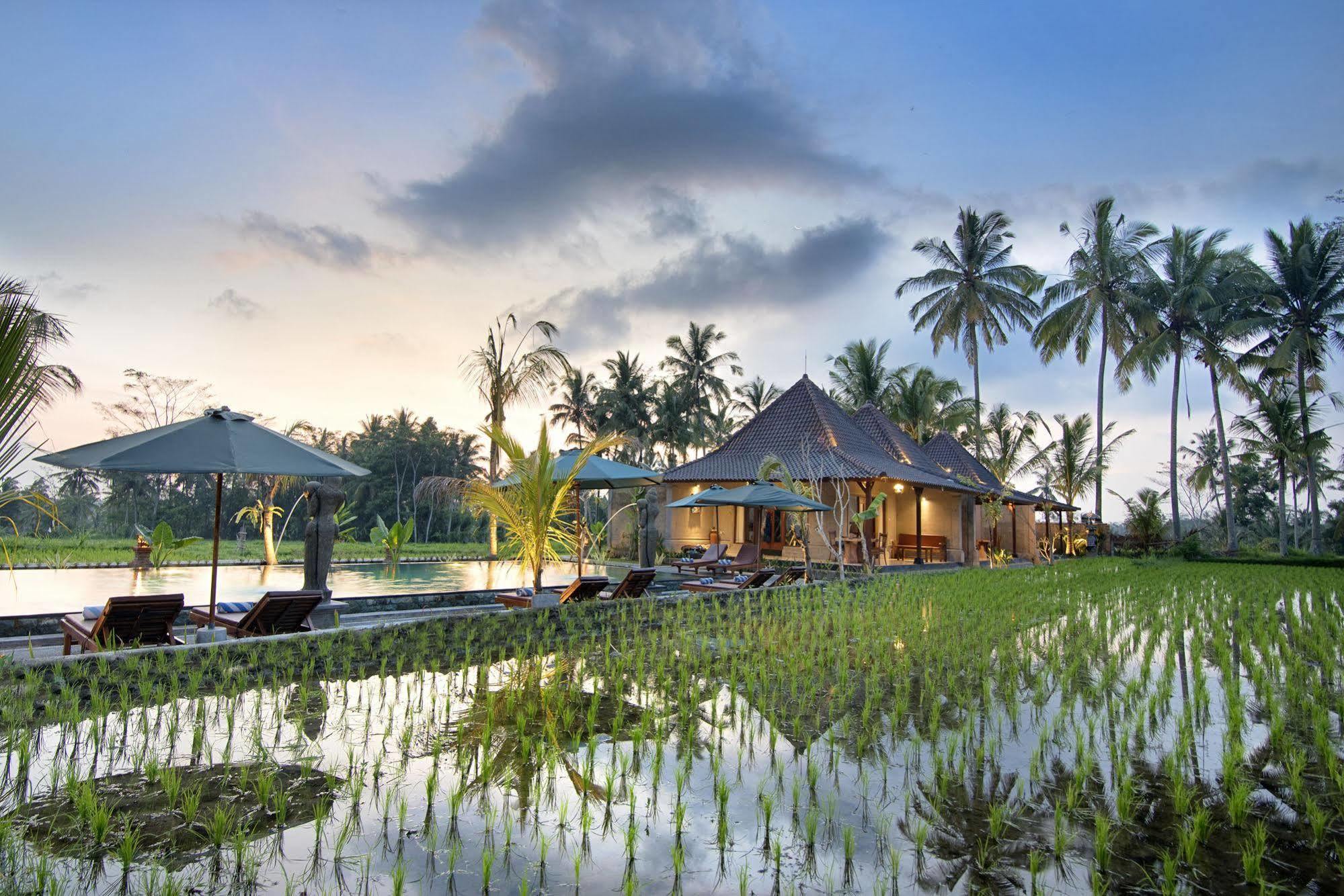 Pajar House Ubud Suite & Villas Exterior foto