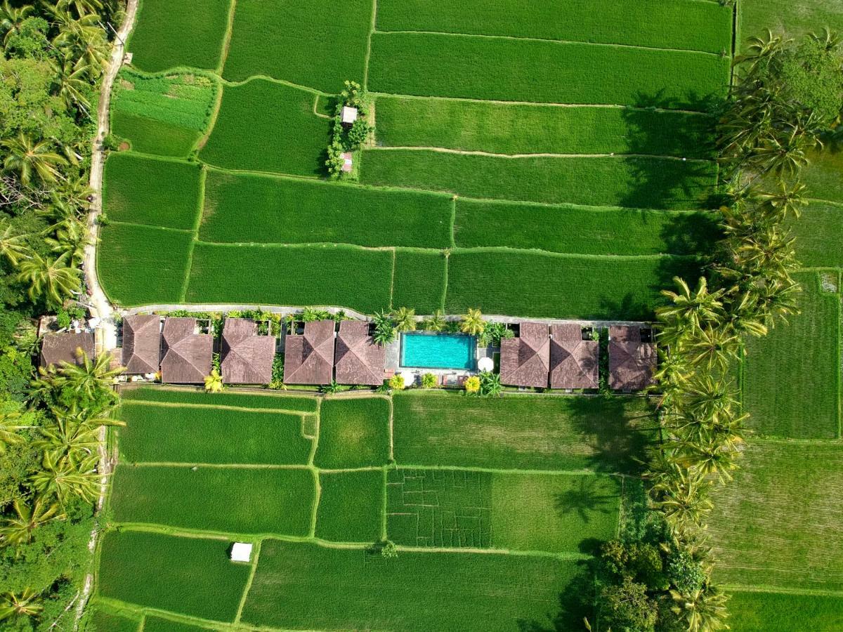 Pajar House Ubud Suite & Villas Exterior foto